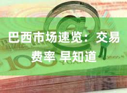 巴西市场速览：交易费率 早知道